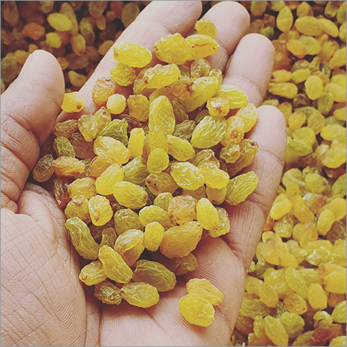 Golden Raisins - Dried, Handpicked | Non-glutinous, Grade A, Enriched With Vitamins And Minerals, Longer Shelf Life, Air-tight Packaging
