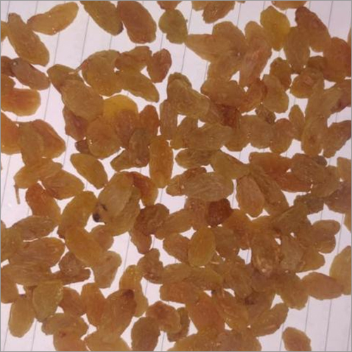 Golden Raisins - Dried, Handpicked | Non-glutinous, Grade A, Enriched With Vitamins And Minerals, Longer Shelf Life, Air-tight Packaging