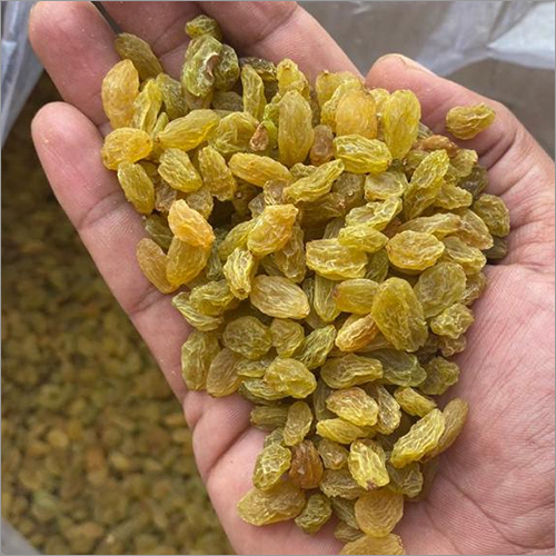 Golden Raisins - Dried, Handpicked | Non-glutinous, Grade A, Enriched With Vitamins And Minerals, Longer Shelf Life, Air-tight Packaging