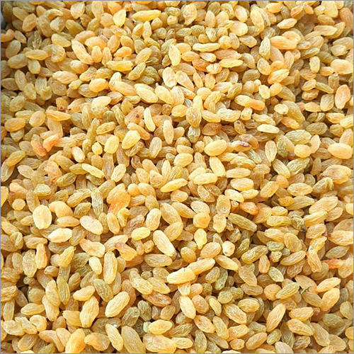 Golden Raisins - Dried, Handpicked | Non-glutinous, Grade A, Enriched With Vitamins And Minerals, Longer Shelf Life, Air-tight Packaging