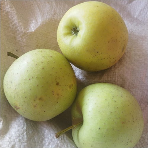 Common Green Apple
