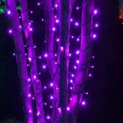 Purple String Light