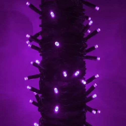 Purple String Light
