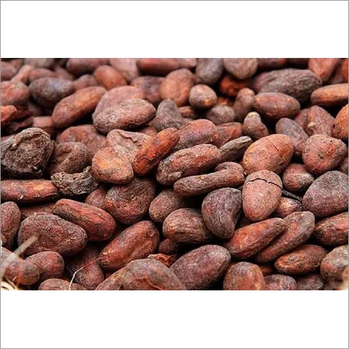 Cocoa Nibs Roasted Beans - High Purity, 6 Months Shelf Life | Flavorful, Crunchy, Dried For Versatile Culinary Uses