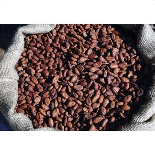 Cocoa Nibs Roasted Beans - High Purity, 6 Months Shelf Life | Flavorful, Crunchy, Dried For Versatile Culinary Uses