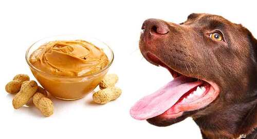 Peanut Butter for Dogs - Cream Paste, 200g Size, Brown Color | 100% Natural Ingredients, Loved by All Breeds