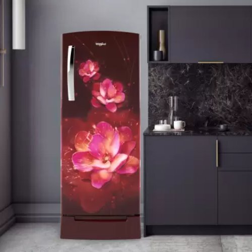Marroon Single Door Refrigerator With Base Drawer