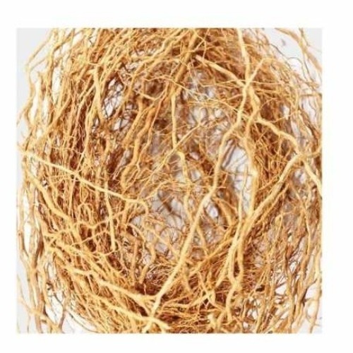 वेटिवर रूट्स