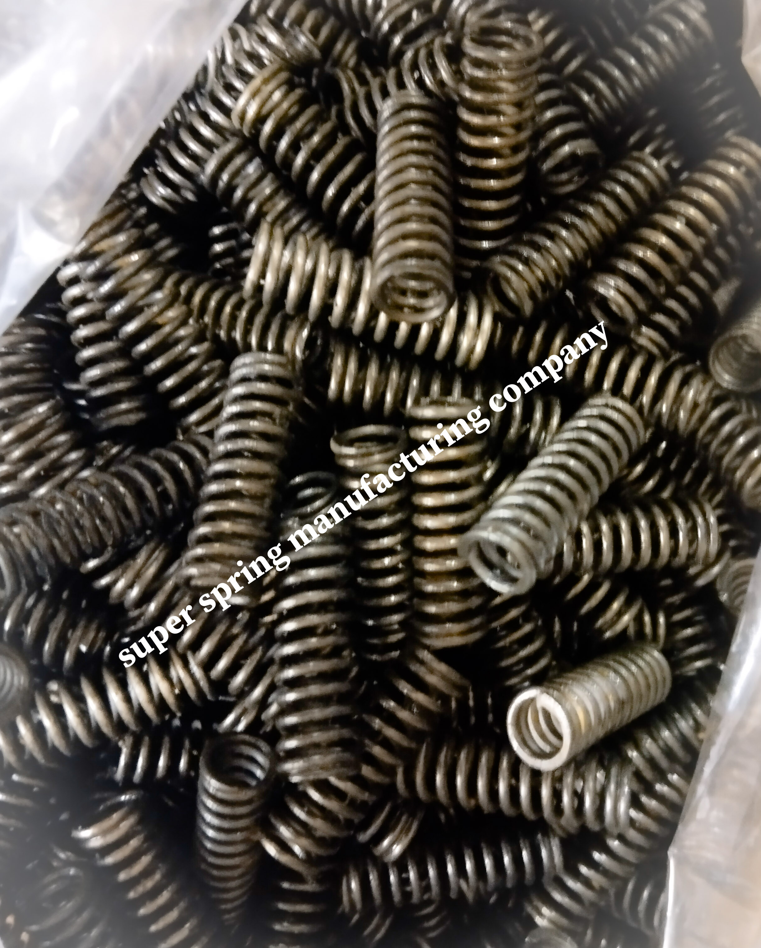 Coil Spring