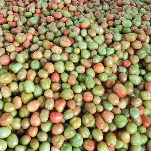 Round Red And Green Tomato - Fresh Raw Style | Moisture: Nil, Ideal For Salads And Culinary Creations