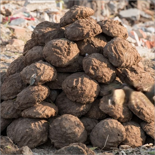 Fresh Cow Dung Cake Grade: First Class