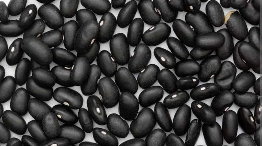 Soya Bean
