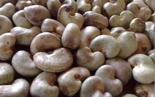 कच्चे काजू