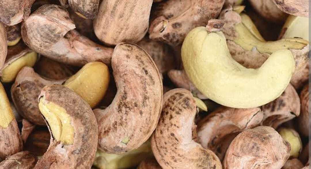 Raw Cashew Nuts