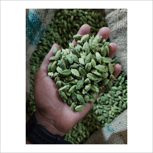 Green 7 Plus Bold Cardamom Premium Export