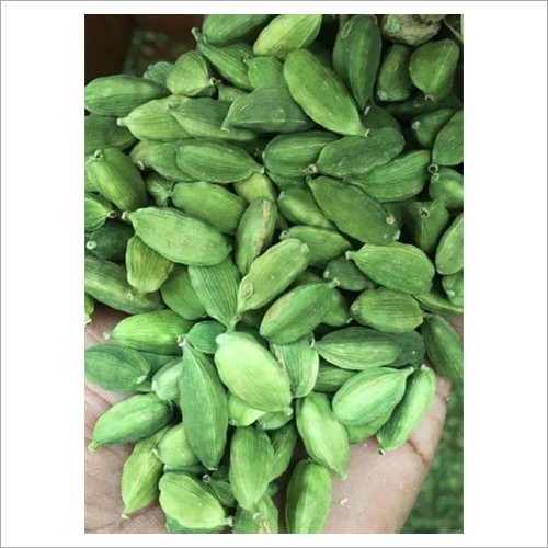 Jumbo Bold Green Cardamom - 8.5 Plus Extra Bold Size | Food Grade, Raw Piece, 9-Month Shelf Life, Handpicked Quality