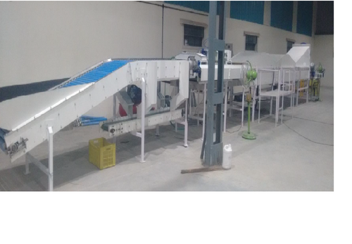 मैंगो ग्रेडिंग मशीन की क्षमता: 1 टन-10 टन/प्रति घंटा किलो/घंटा