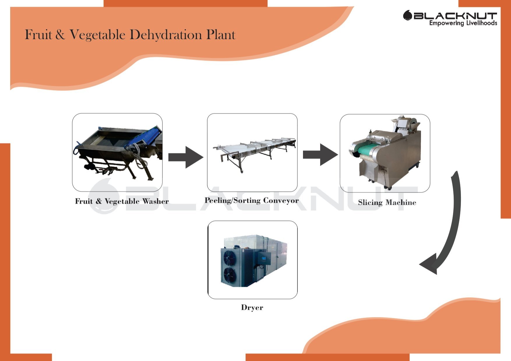 Apple Dehydration Plant - Capacity: 100-1000 Kg/Day