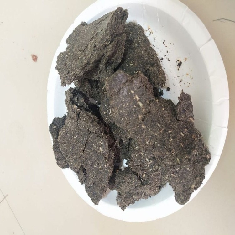 सामान्य ताजा सूरजमुखी तेल