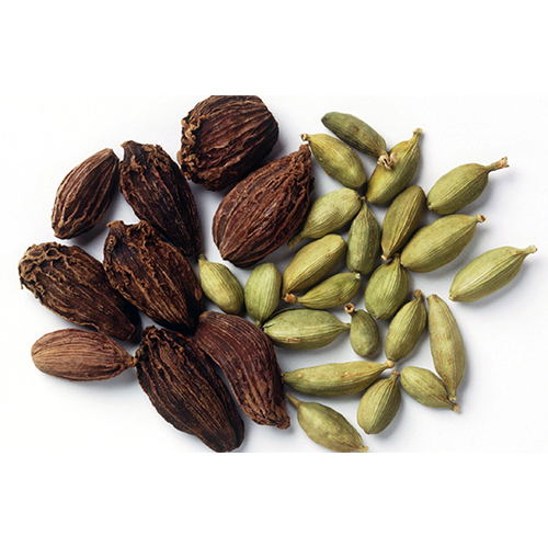 ताज़ा प्राकृतिक इलायची