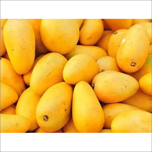 Fresh Mango - Whole Fruit, Different Sizes | Organic Yellow Variety from India