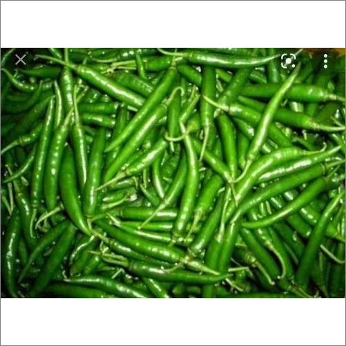 Fresh Mirchi - Organic Indian Chili Peppers, Natural Shape, Shelf Life Up to 7 Days