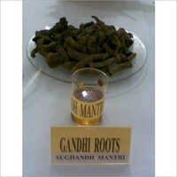गांधी रूट्स सुगंध मंत्री ऑयल एज ग्रुप: वयस्क