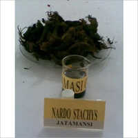 जटामांसी ऑयल एज ग्रुप: ओल्ड एज