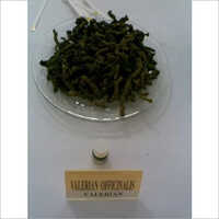 सुगंध बाला ऑयल आयु वर्ग: वयस्क