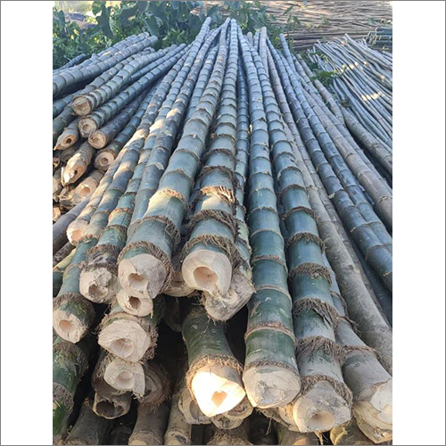 Long Bamboo Pole Size: Different Available