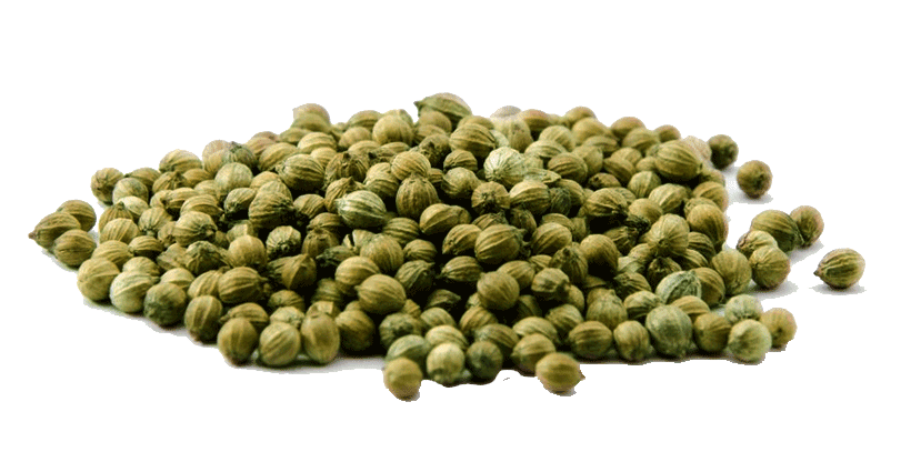 Brown Coriander Powder
