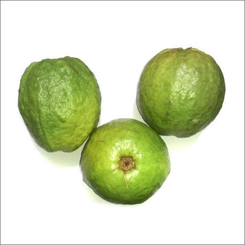 Green Fresh Guava