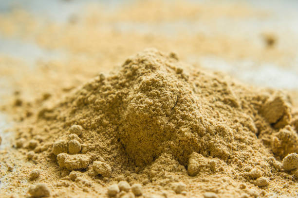 Amchur Powder - Food Grade