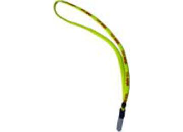 Lanyard