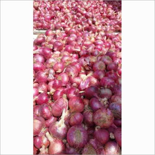 Fresh Red Onion - Raw, Round Shape | Moisture: 50%, Shelf Life: 2 Months, Packed With Antioxidant Compounds, High Fiber Content 