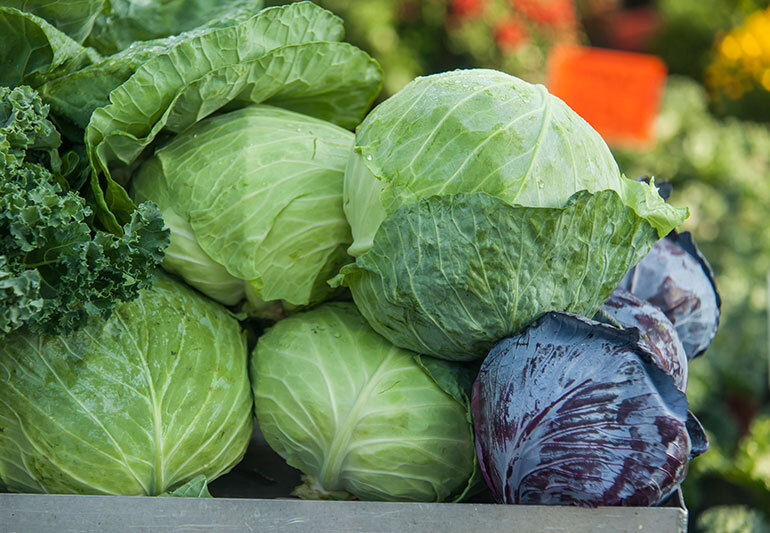Fresh Cabbage - Raw Natural Shape 5-day Shelf Life - Leafy Green Vegetable For Salads Soups And Sandwiches Organic Farming Practice