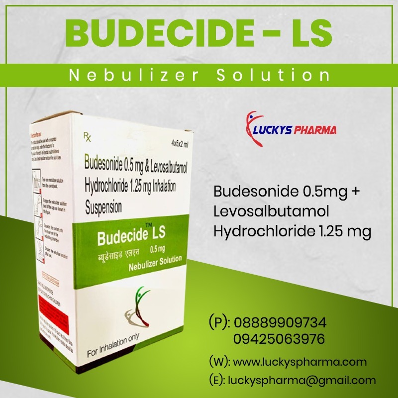 Budesonide Levosalbutamol Nebulizer Solution General Medicines