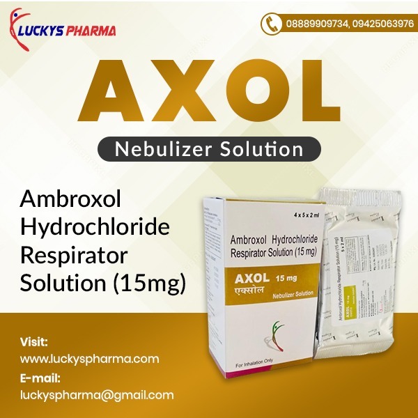 Ambroxol Nebulizer Solution General Medicines