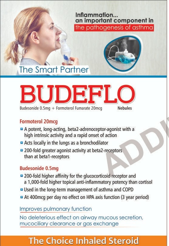 Budesonide Formoterol Nebulizer Solution General Medicines