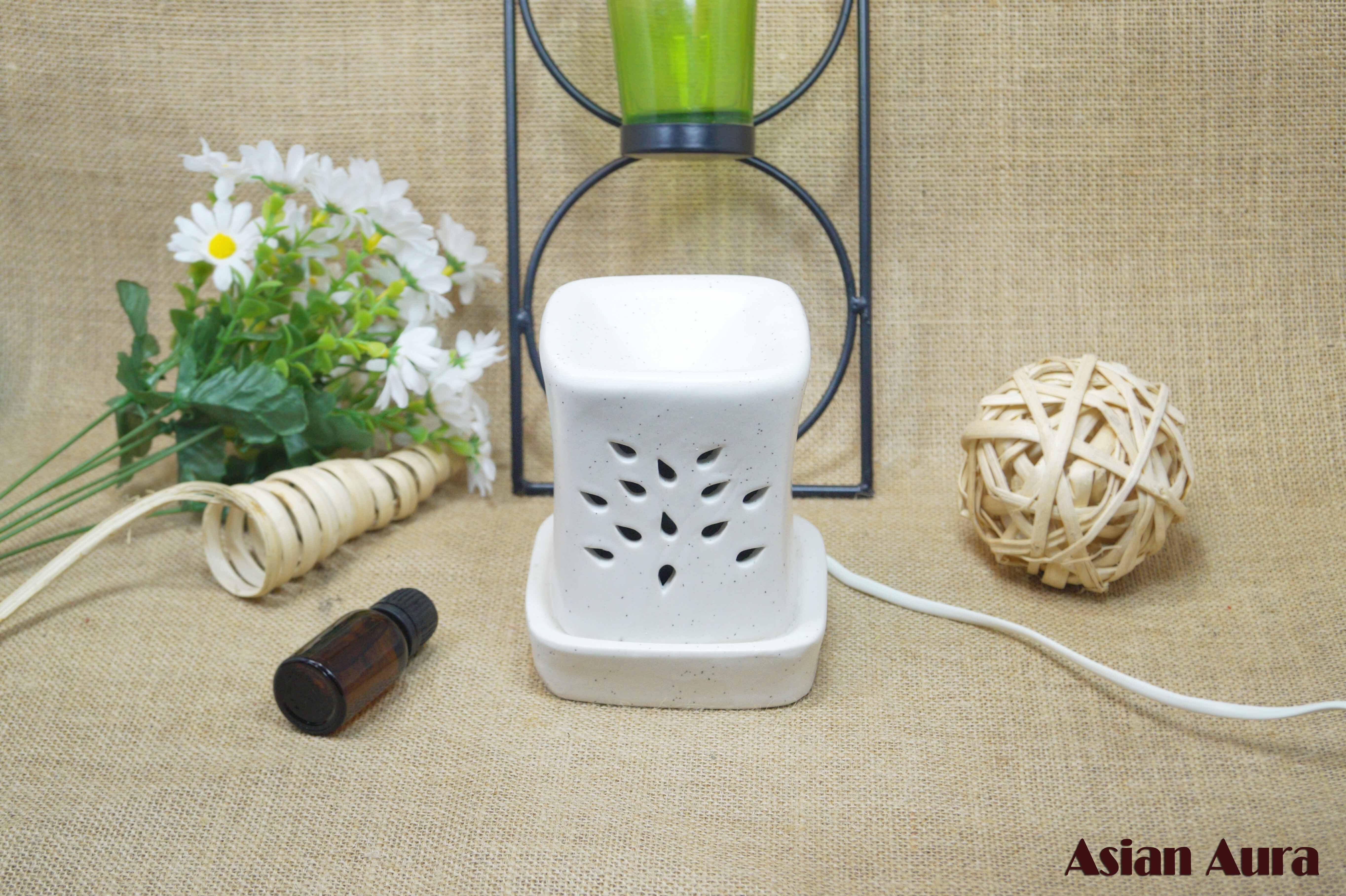 Asian Aura Ceramic Aromatic Oil Diffuser With 2 Oil Bottles Aaeb 003-b