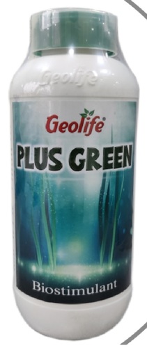 Pure Green Seaweed Liquid Extract