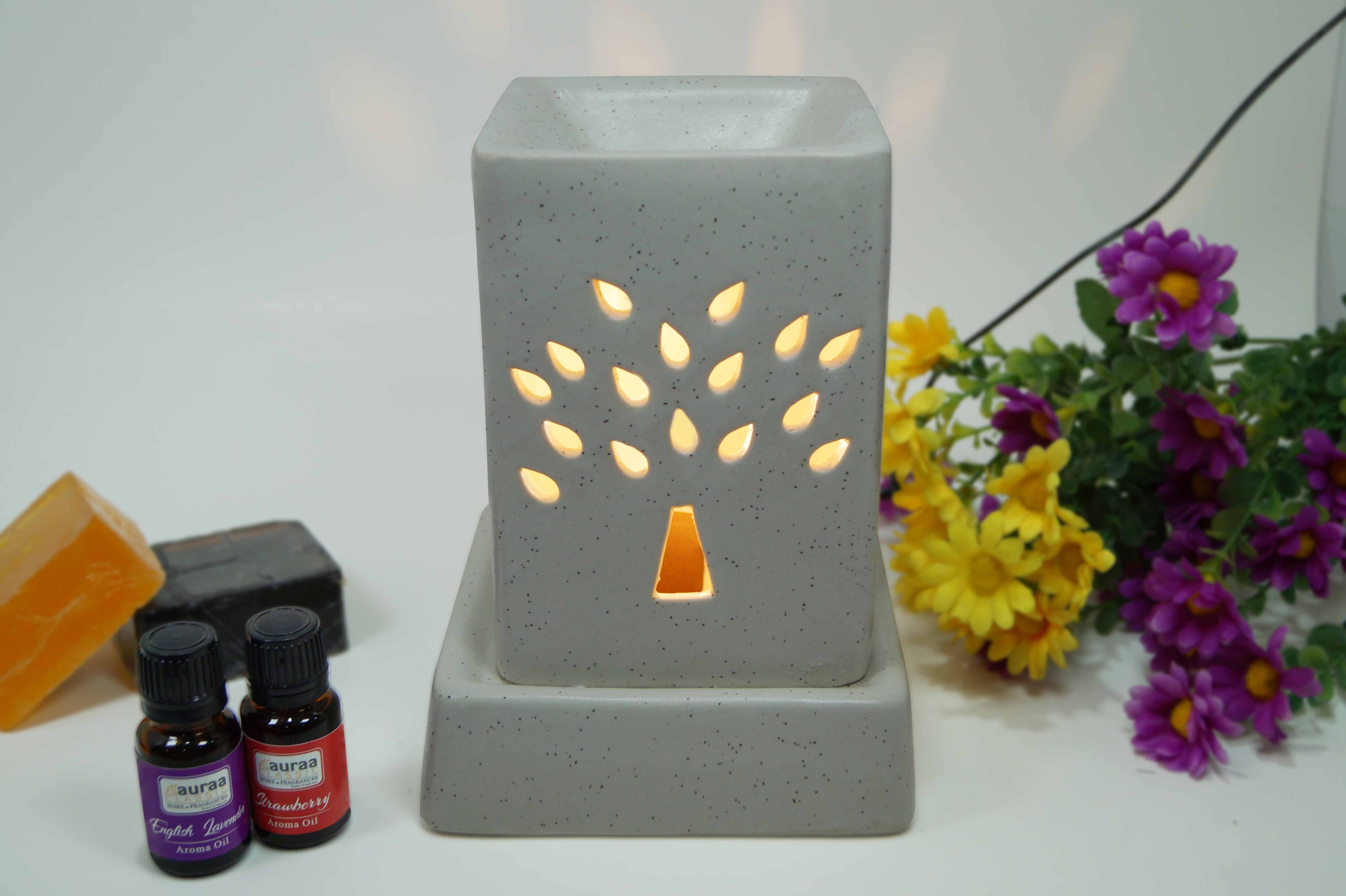 Asian Aura Ceramic Aromatic Oil Diffuser With 2 Oil Bottles Aaeb 0015-w