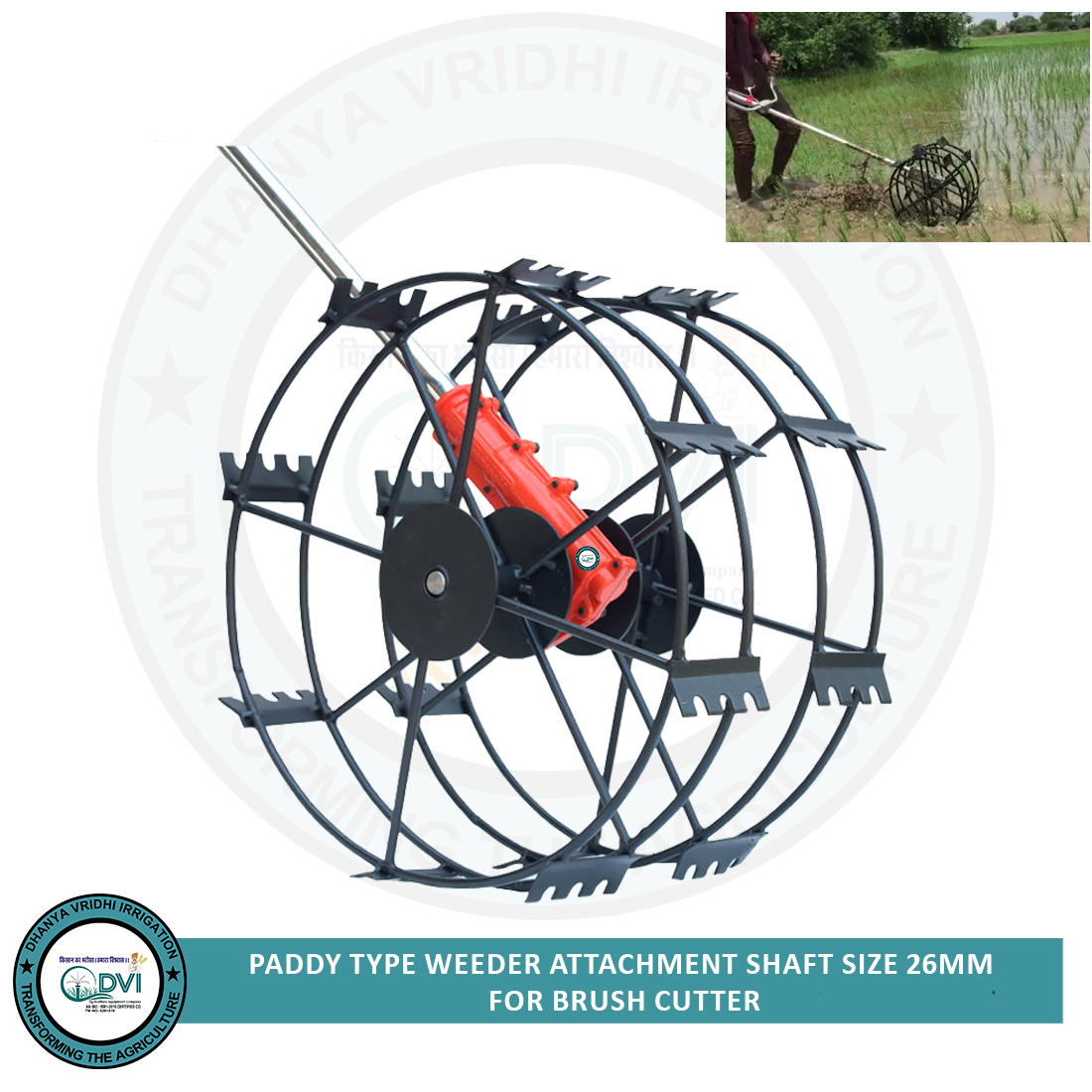 Metal 11 Inch Paddy Weeder
