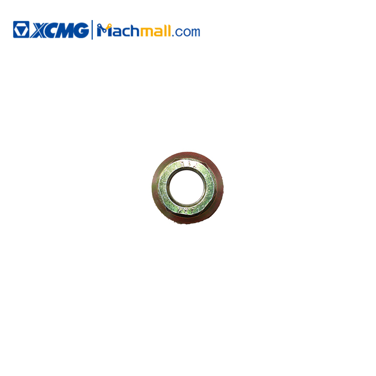 M22 1.5 Rim Bolt(grade10)