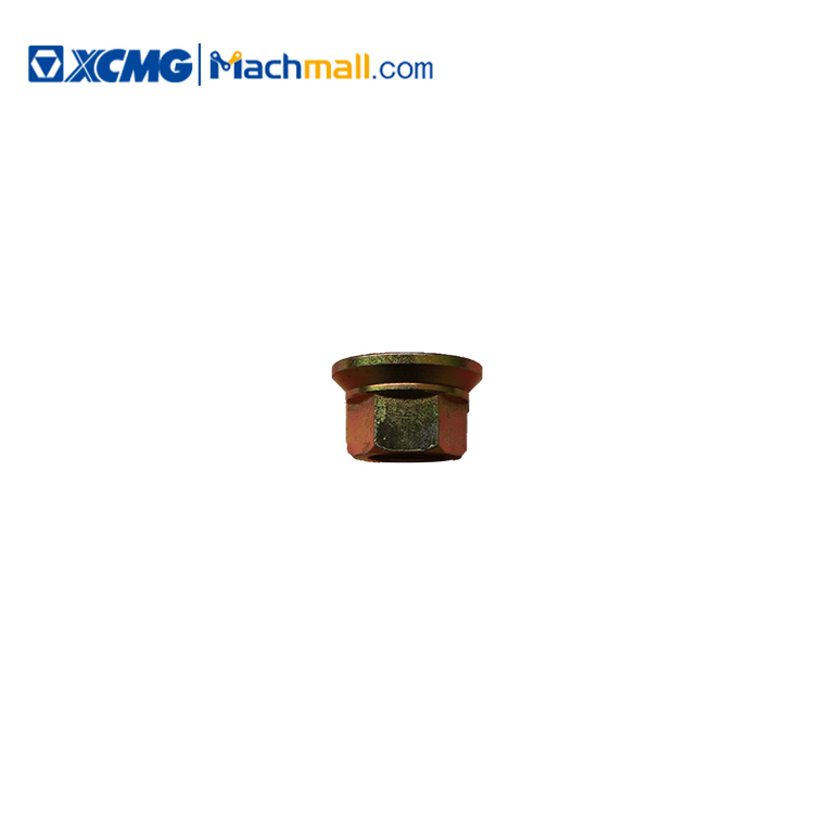 M22 1.5 Rim Bolt(grade10)