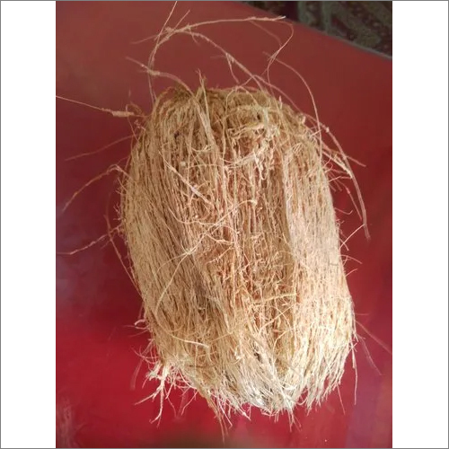 Fresh Coconut - Solid Form, Quality Assured | High Hydration Support, Promotes Bowel Regularity, Fresh Taste And Texture