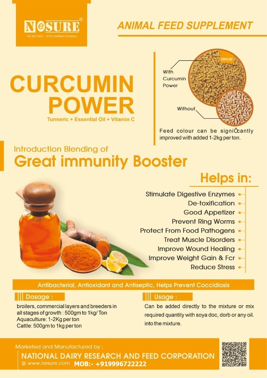Curcumin Power Turmeric Oil - Powder Format | Stimulates Digestive Enzymes, Improves Feed Color, Reduces Stress, Enhances Weight Gain & Fcr