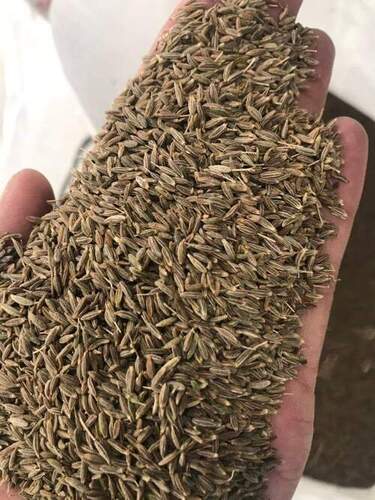 जीरा जीरा