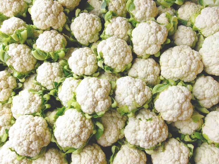 Fresh Cauliflower - 94% Moisture , Raw Natural Style With 5 Days Shelf Life