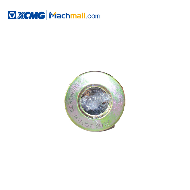 Hydraulic Oil Filter Element 803168880